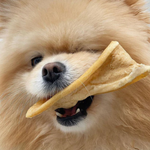 How to Make A Happy Dog - Enrichment with Snack at Franks Treats...