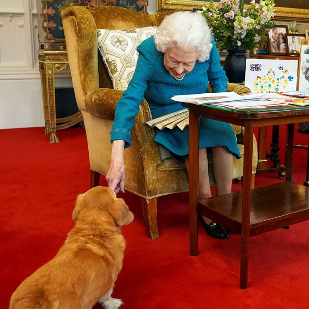 Queen Elizabeth and her Corgis - 10 of our favourite facts